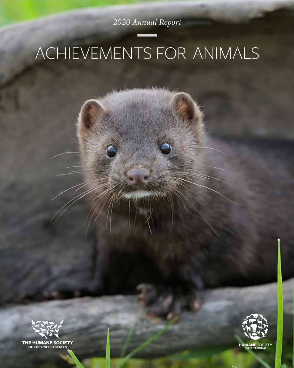 Achievements for Animals