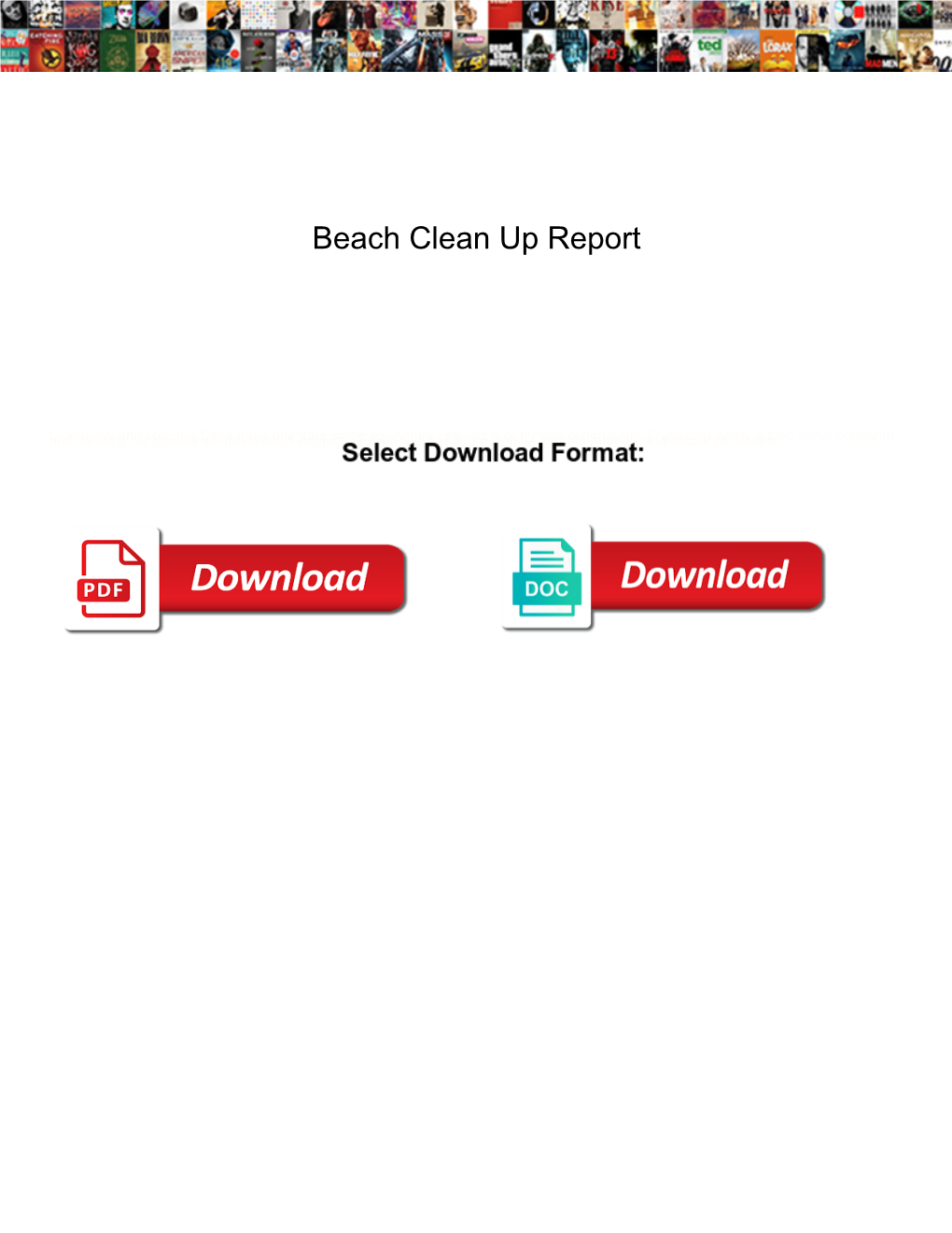 Beach Clean up Report