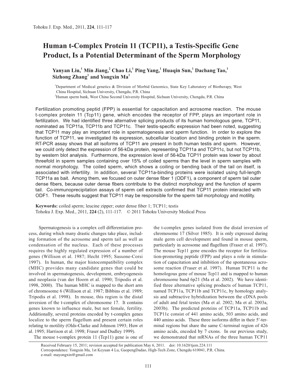 Human T-Complex Protein 11 (TCP11), a Testis-Specific Gene Product, Is a Potential Determinant of the Sperm Morphology