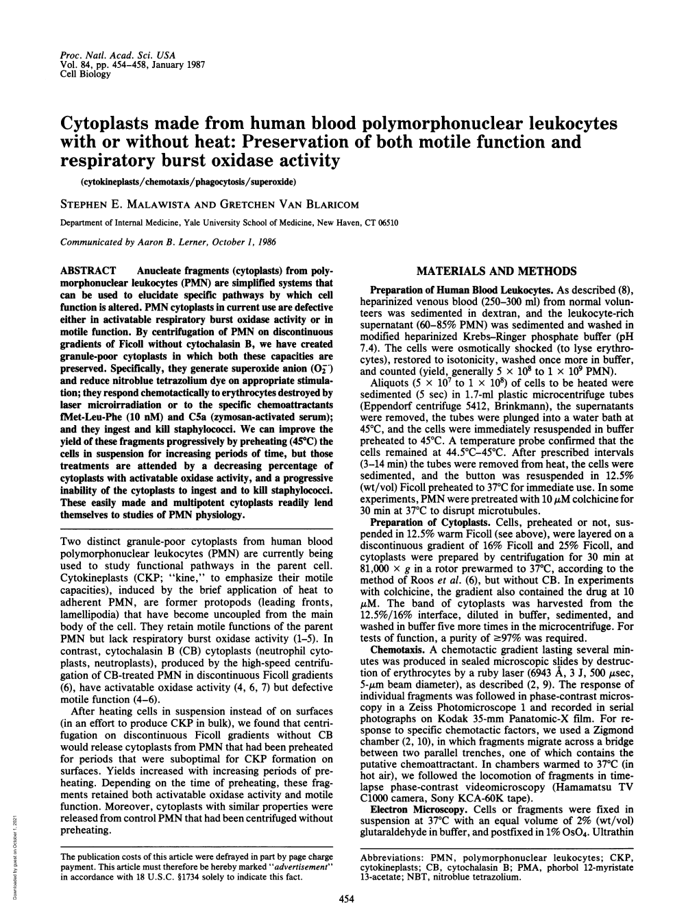 Cytoplasts Made from Human Blood Polymorphonuclear Leukocytes with Or Without Heat