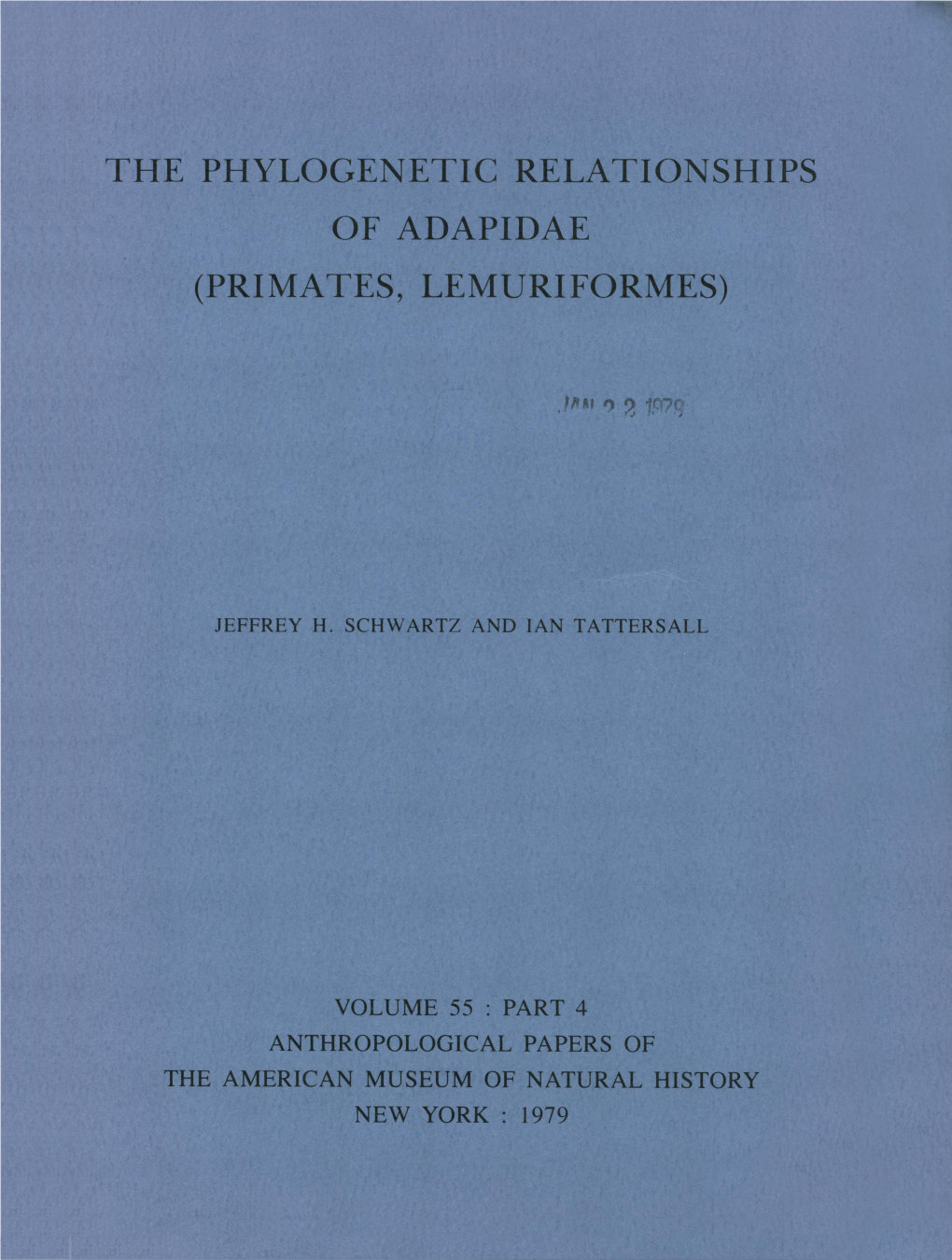 The Phylogenetic Relationships of Adapidae (Primates, Lemuriformes)