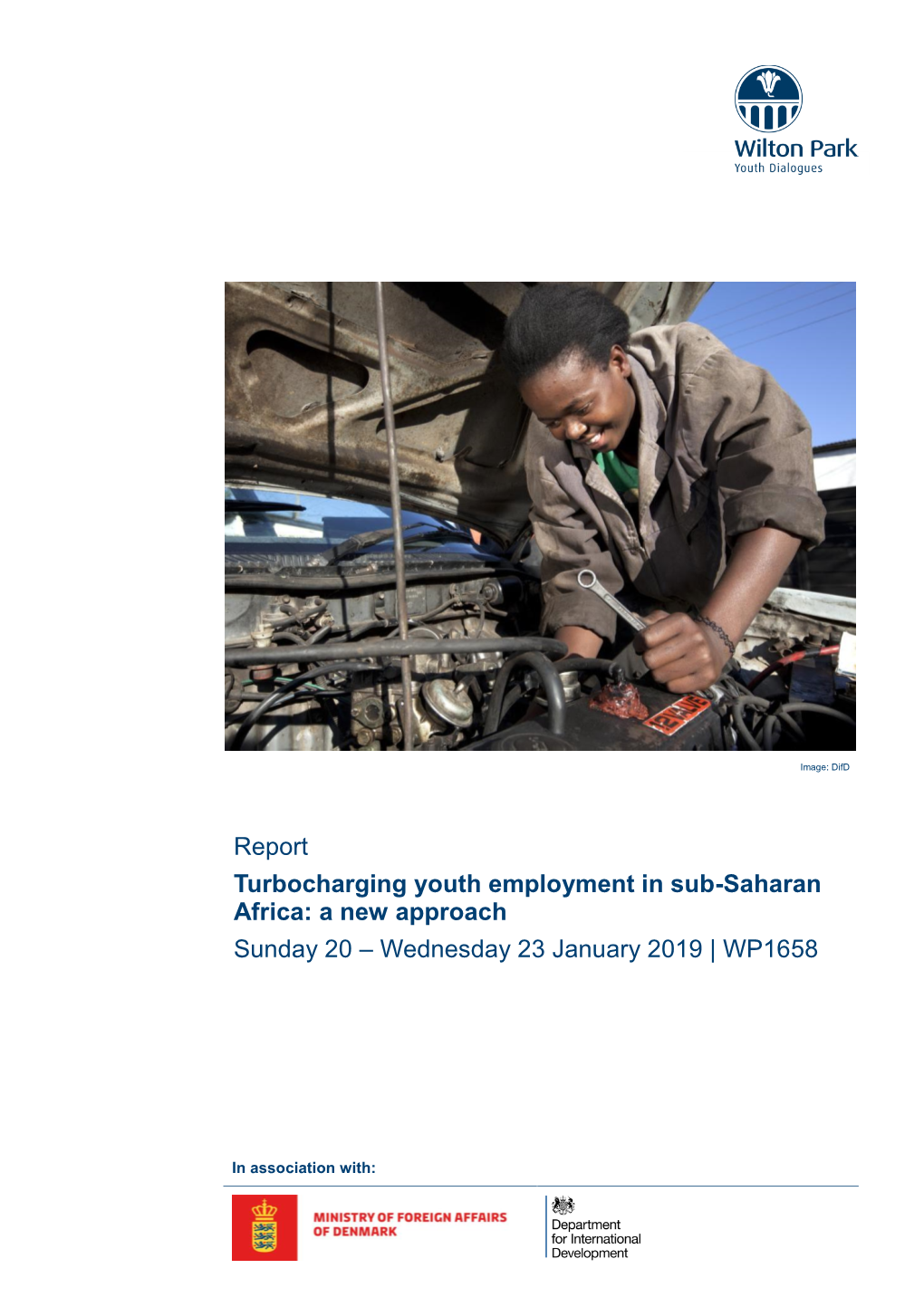 PDF Report for Turbocharging Youth Employment in Africa