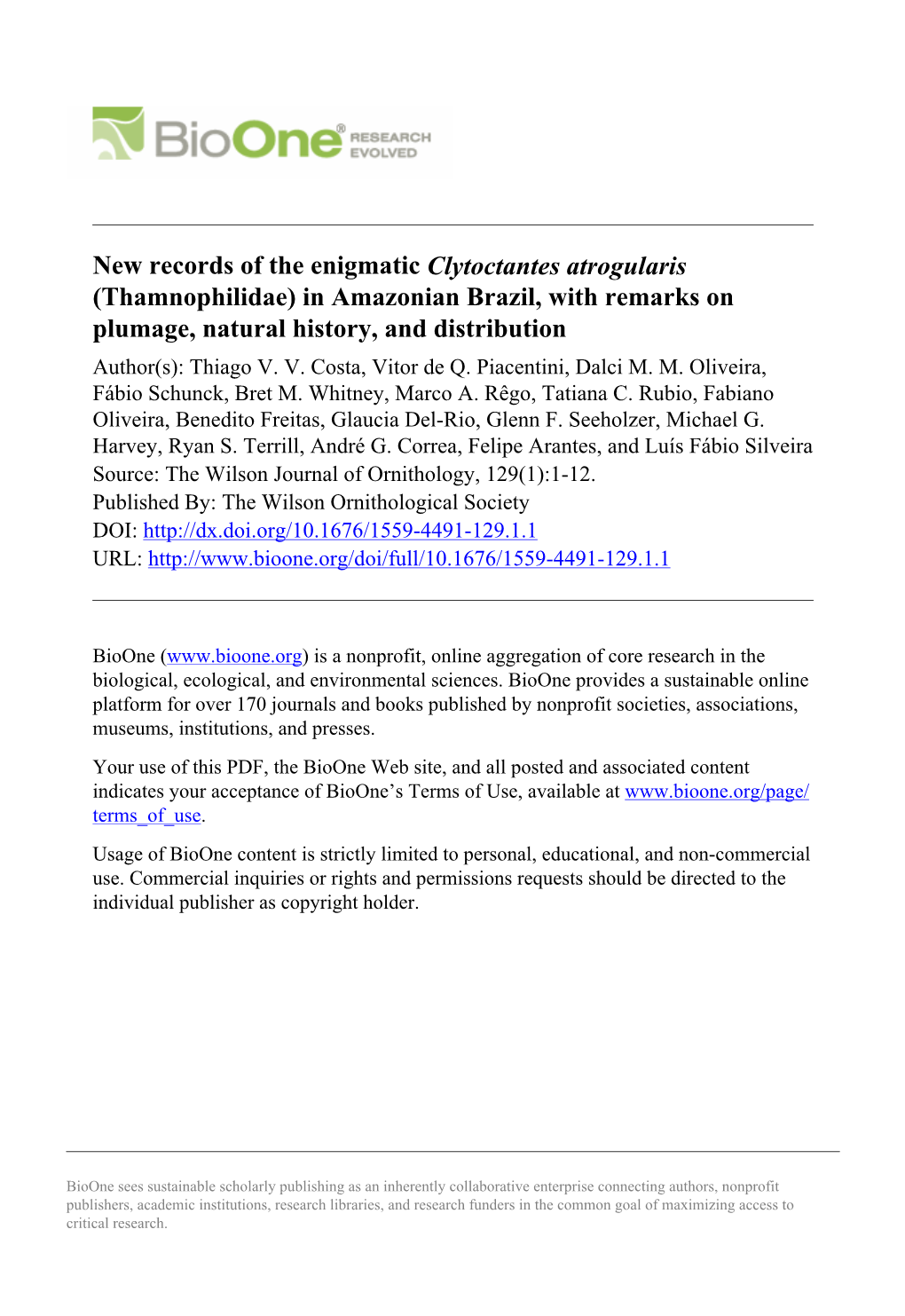 New Records of the Enigmatic Clytoctantes Atrogularis