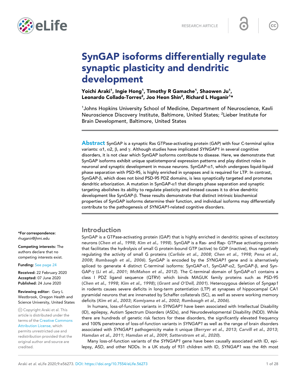 Syngap Isoforms Differentially Regulate Synaptic Plasticity And