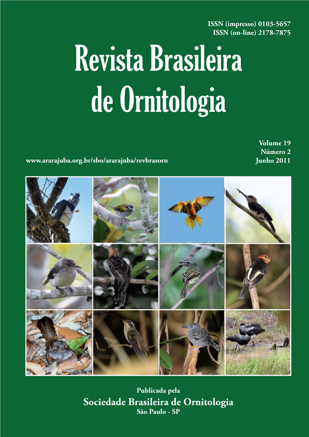 Revista Brasileira De Ornitologia