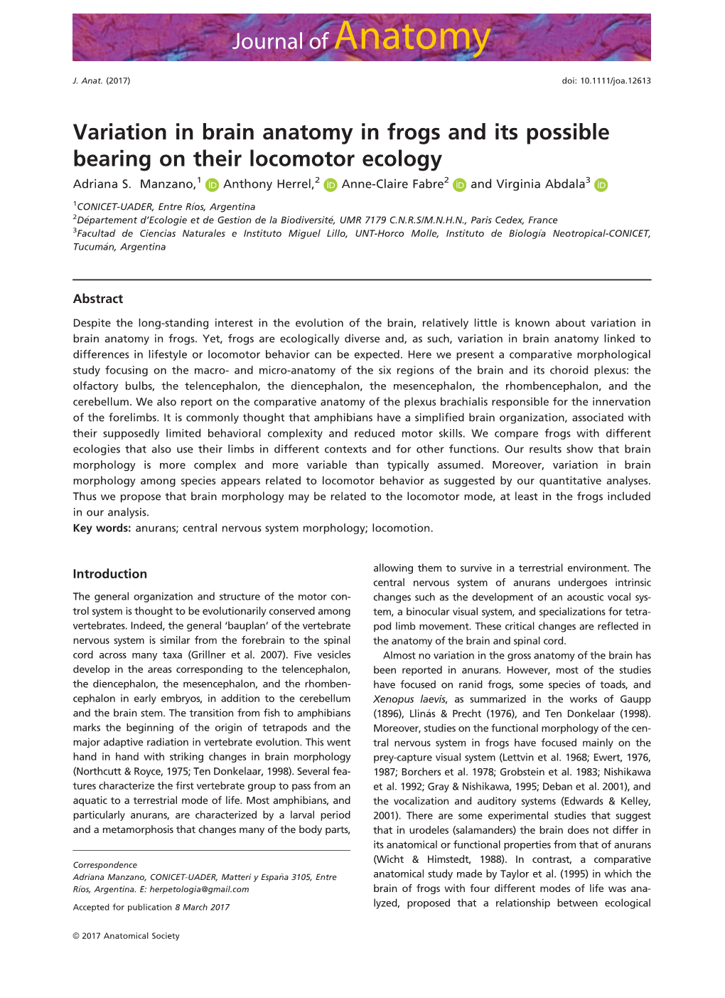 Variation in Brain Anatomy in Frogs and Its Possible Bearing on Their Locomotor Ecology Adriana S