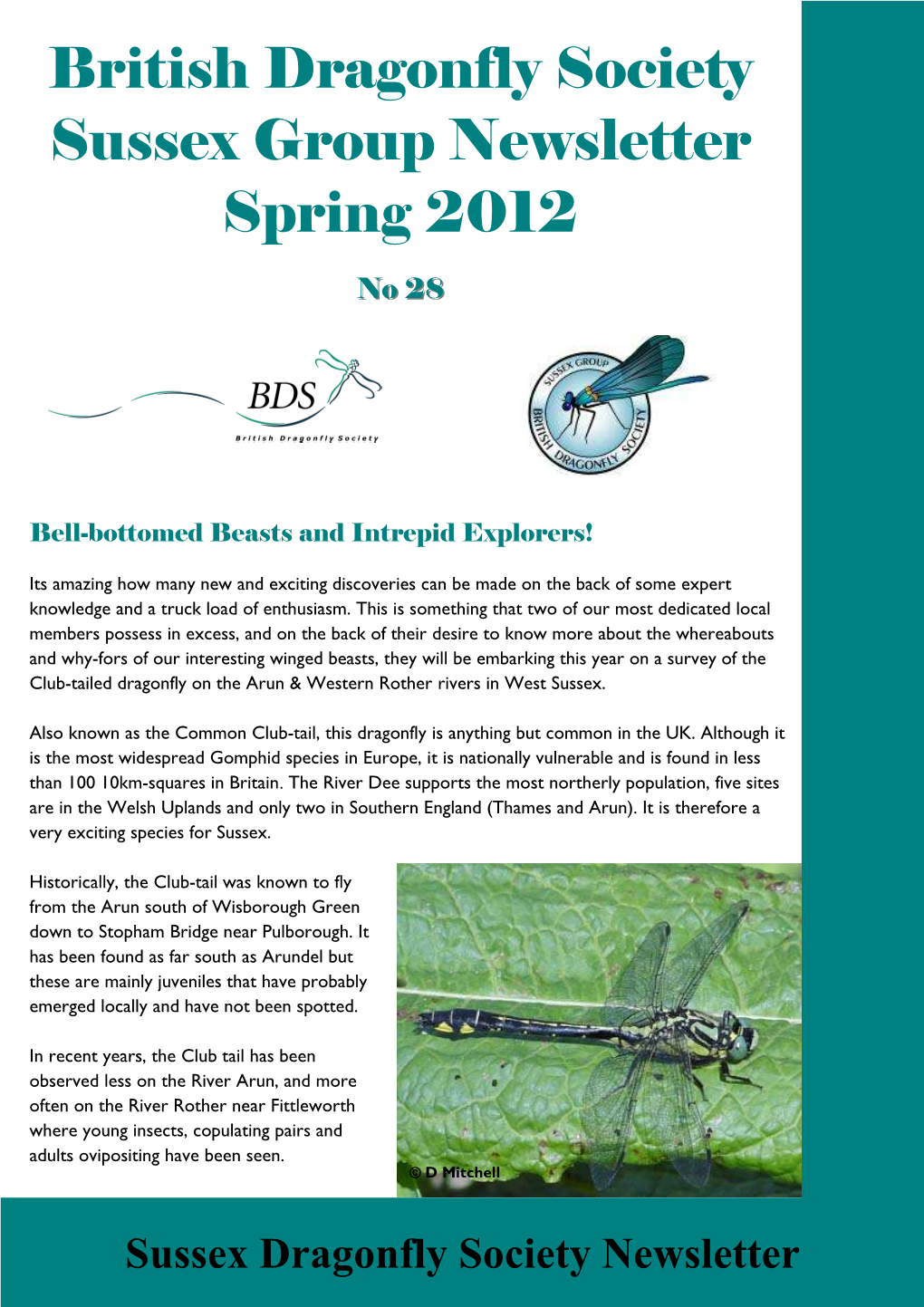 Sussex Dragonfly Society Newsletter