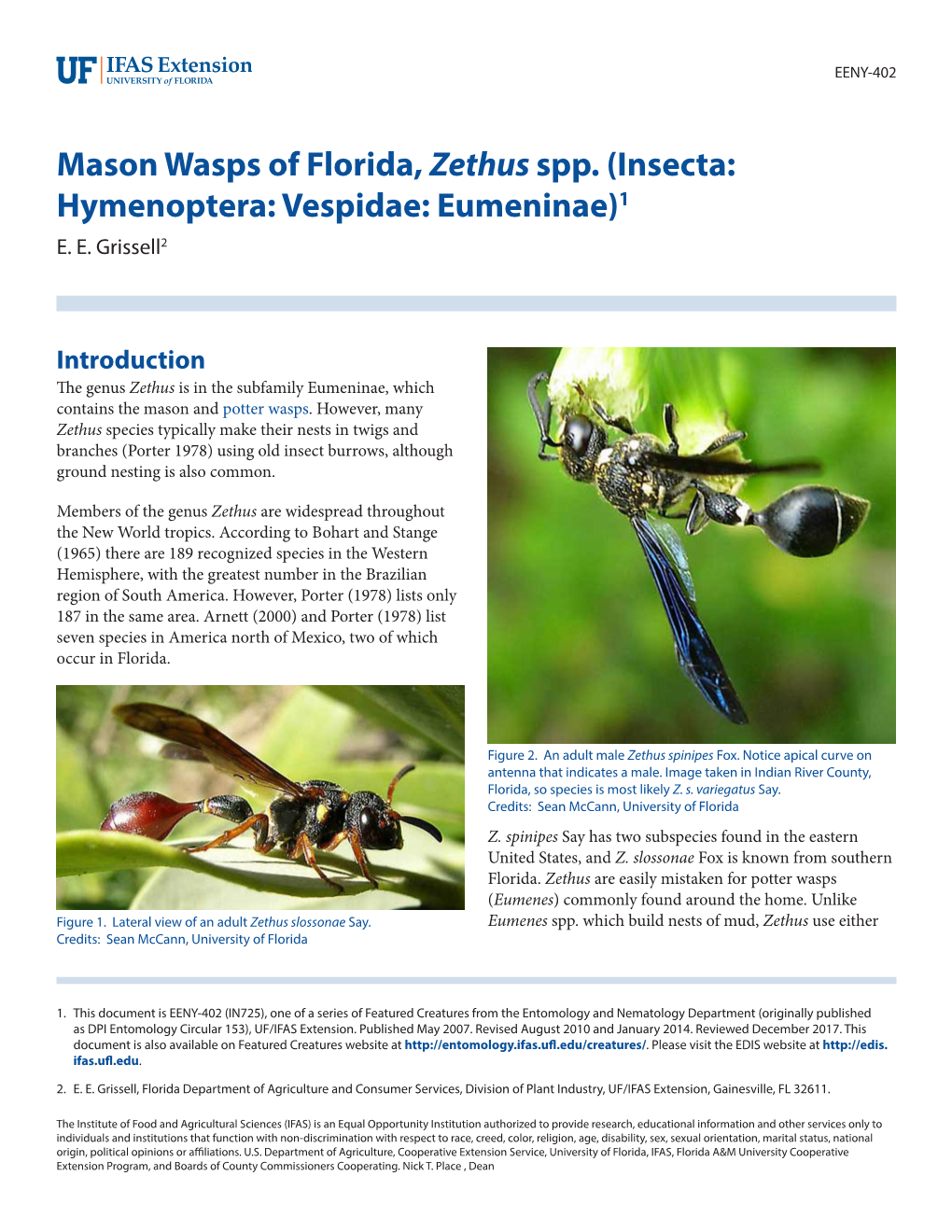 Mason Wasps of Florida, Zethus Spp. (Insecta: Hymenoptera: Vespidae: Eumeninae)1 E