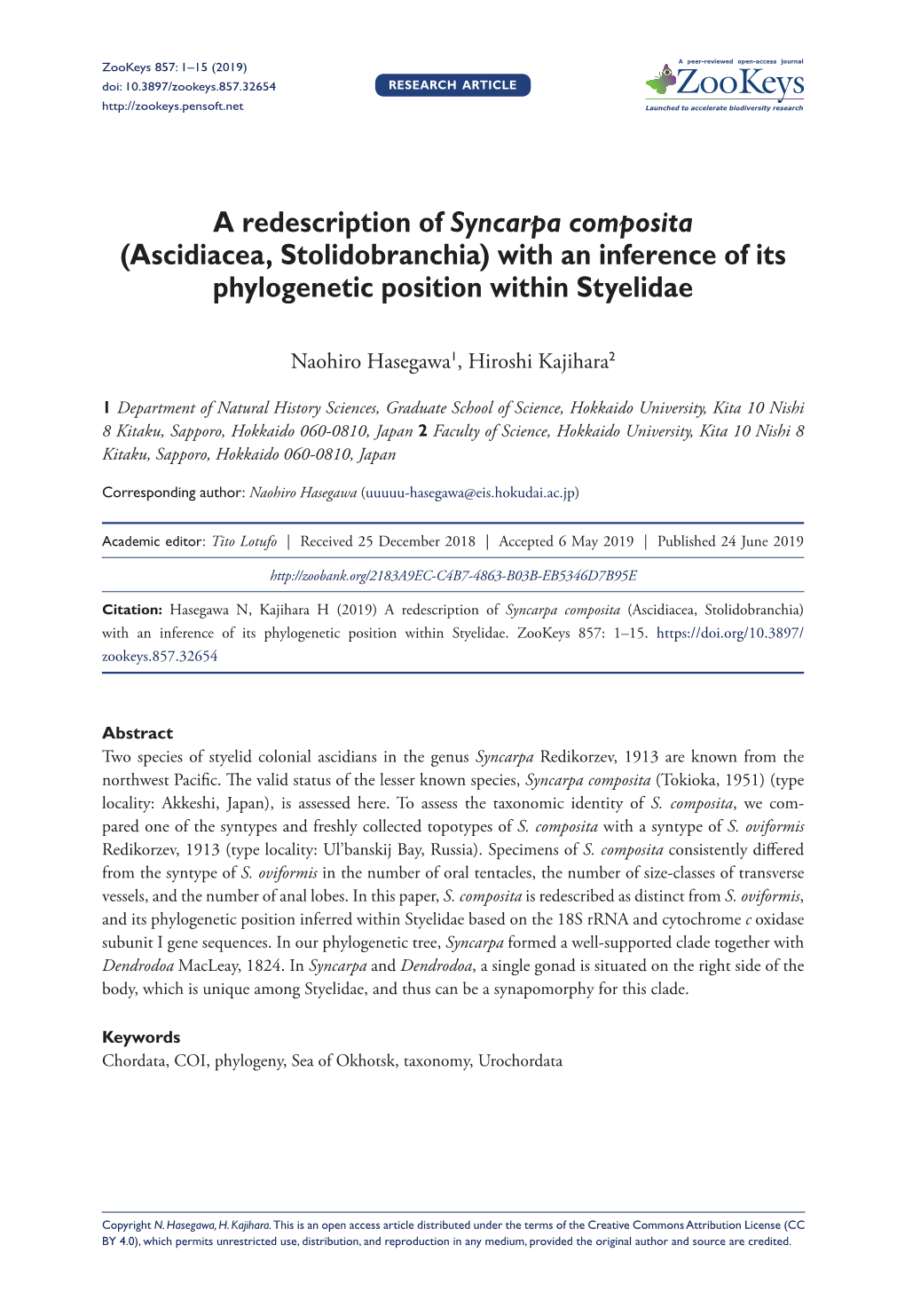 A Redescription of Syncarpa Composita (Ascidiacea, Stolidobranchia) with an Inference of Its Phylogenetic Position Within Styelidae