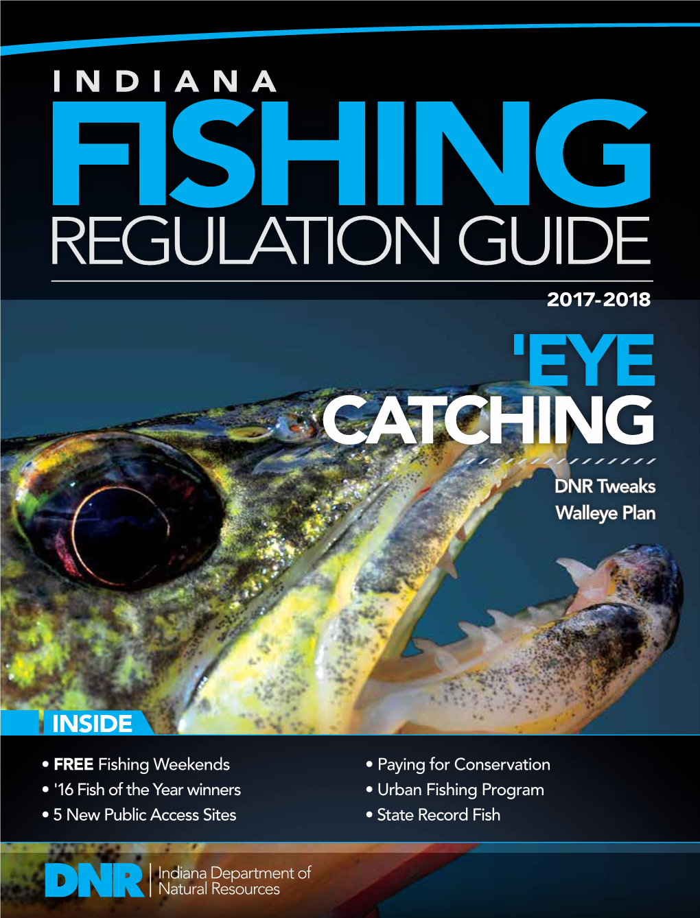 Regulation Guide Catching