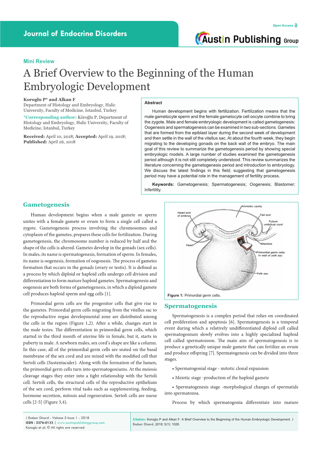 A Brief Overview to the Beginning of the Human Embryologic Development