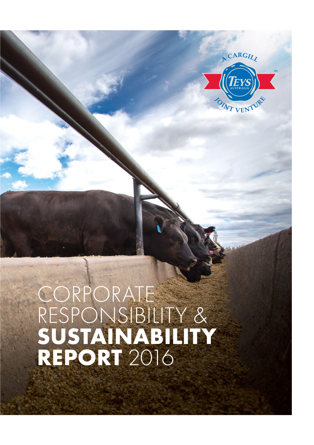 Corporate Responsibility & Sustainability Report 2016