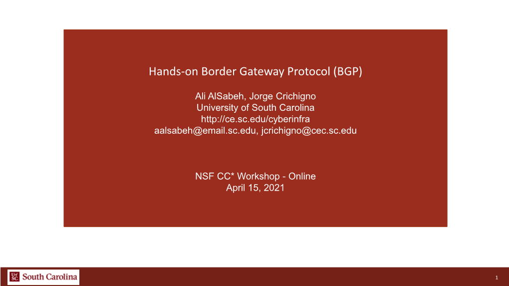 Hands-On Border Gateway Protocol (BGP)
