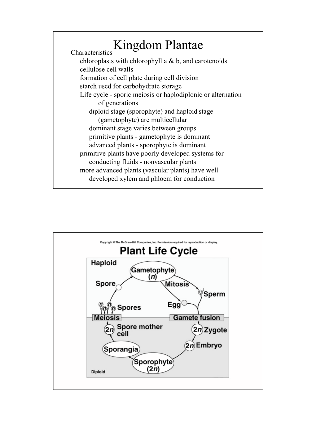 Kingdom Plantae