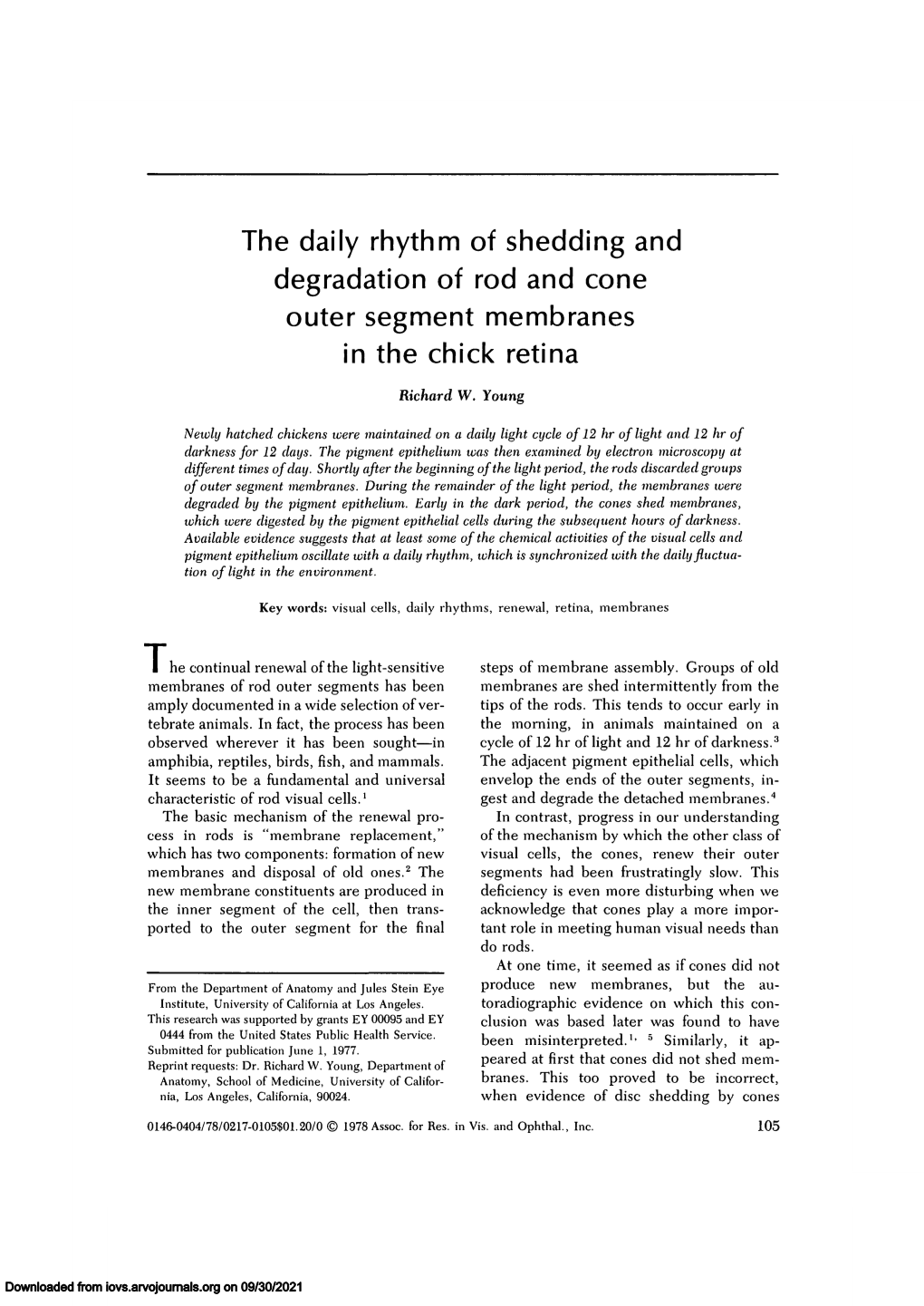 The Daily Rhythm of Shedding and Degradation of Rod and Cone Outer Segment Membranes in the Chick Retina