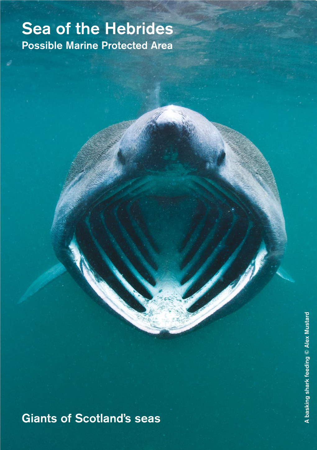 Sea of the Hebrides Possible Marine Protected Area