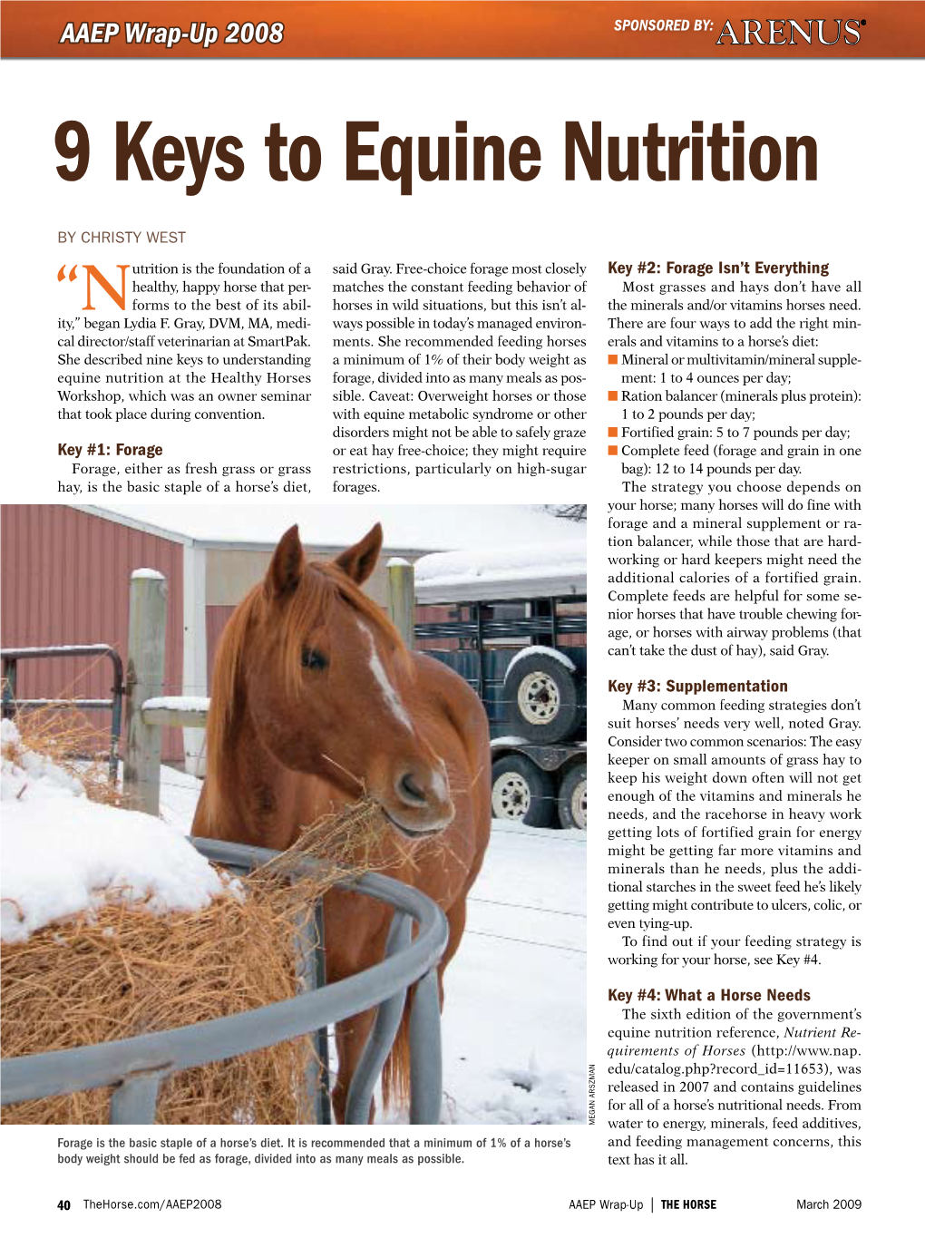 9 Keys to Equine Nutrition