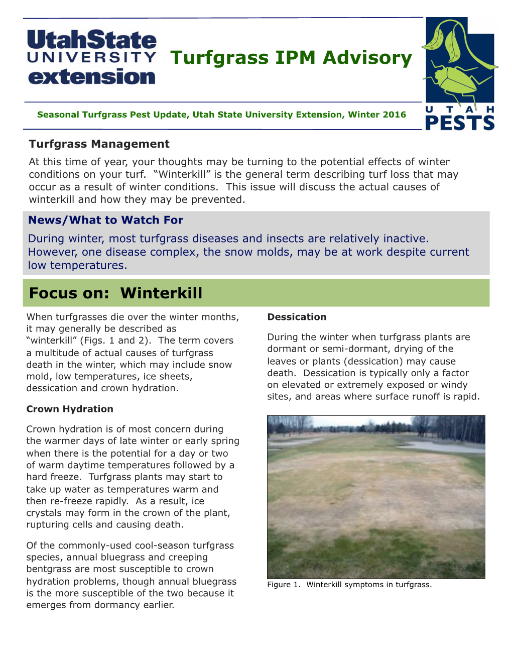 Turfgrass IPM Advisory