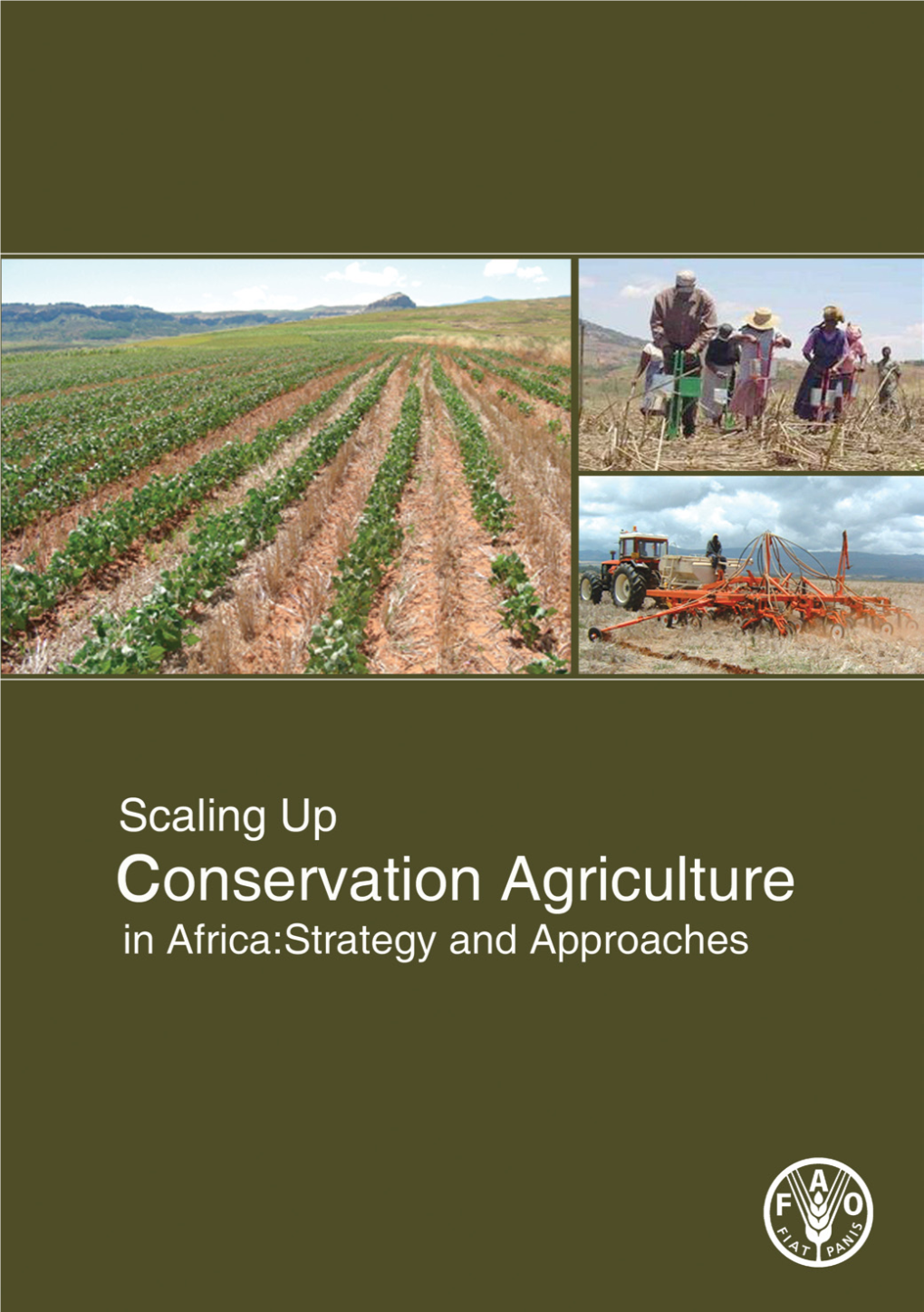 Scaling-Up Conservation Agriculture in Africa: Strategy and Approaches