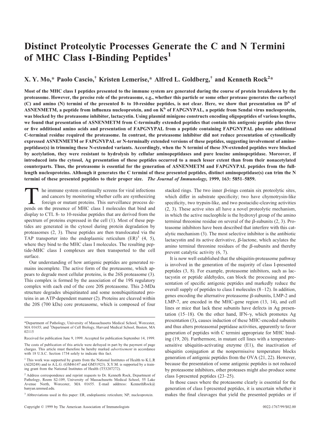 Peptides and N Termini of MHC Class I-Binding Distinct Proteolytic