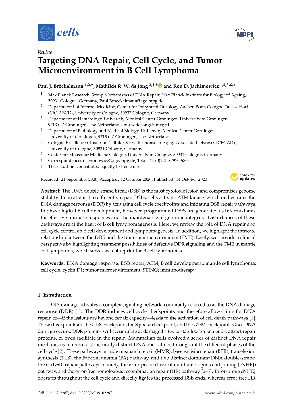 Targeting DNA Repair, Cell Cycle, and Tumor Microenvironment in B Cell Lymphoma