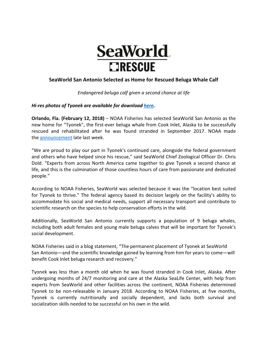 Seaworld San Antonio Selected As Home for Rescued Beluga Whale Calf