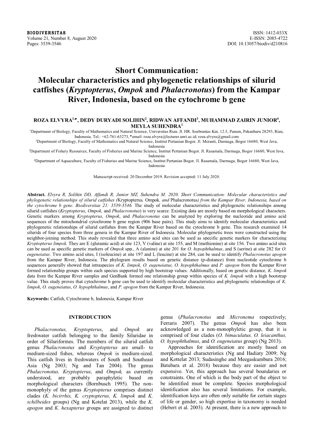 (Kryptopterus, Ompok and Phalacronotus) from the Kampar River, Indonesia, Based on the Cytochrome B Gene