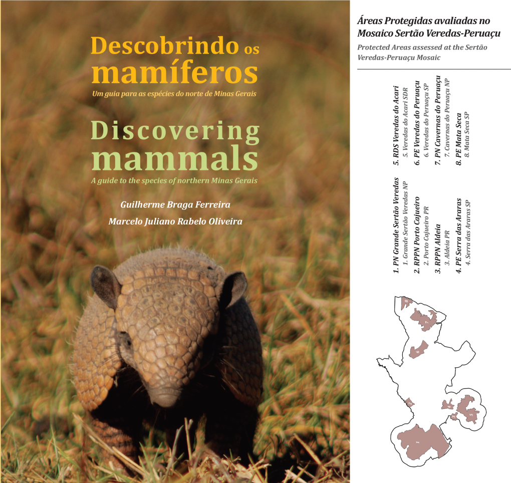 Como Estudar Os Mamíferos? 40 How to Study Mammals?