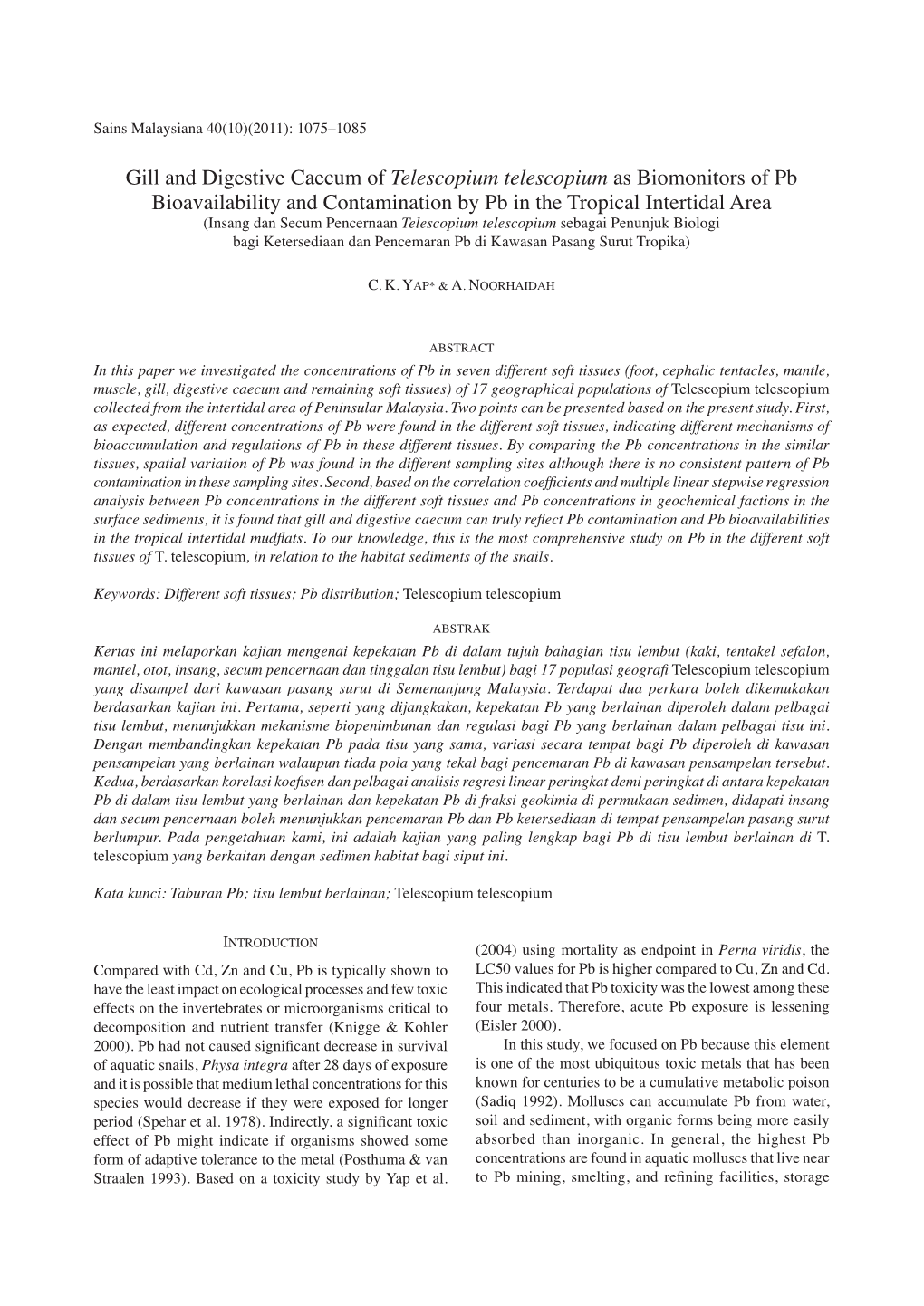 Gill and Digestive Caecum of Telescopium Telescopium As