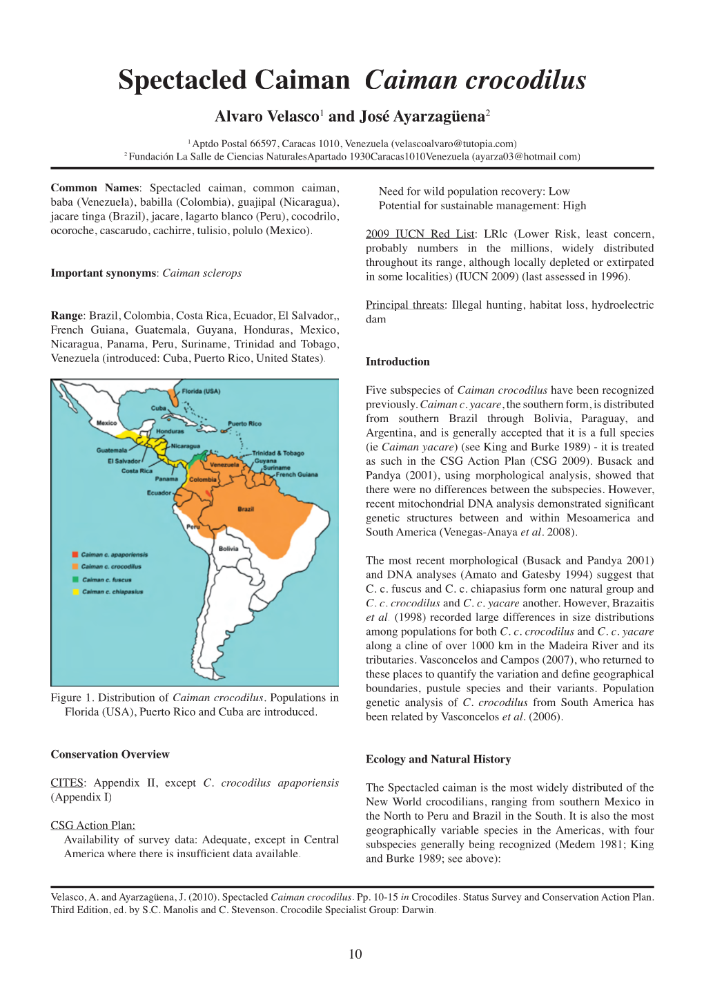 Spectacled Caiman Caiman Crocodilus Alvaro Velasco1 and José Ayarzagüena2