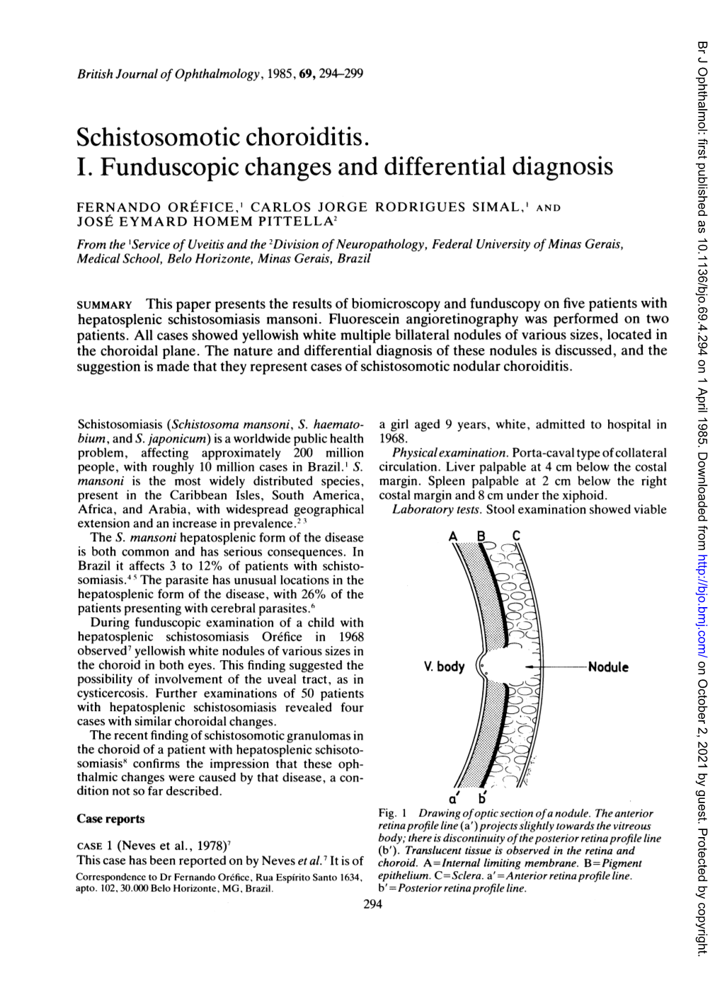 I. Funduscopic Changes and Differential Diagnosis