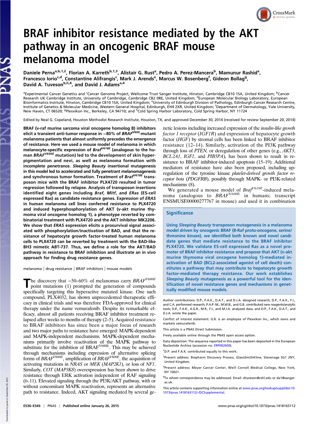 BRAF Inhibitor Resistance Mediated by the AKT Pathway in an Oncogenic BRAF Mouse Melanoma Model