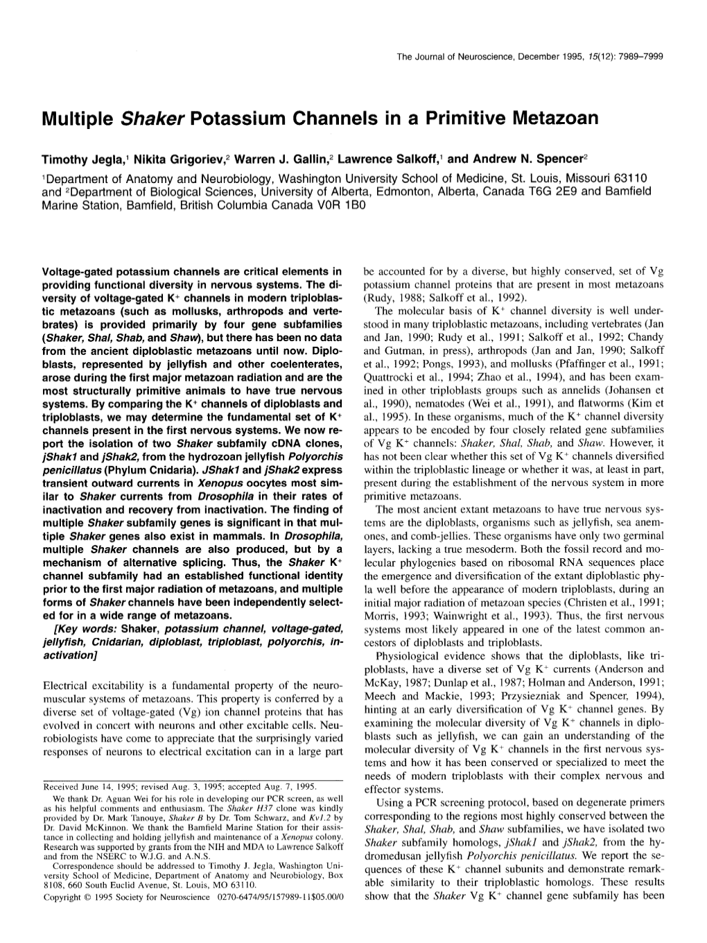 Multiple Shaker Potassium Channels in a Primitive Metazoan