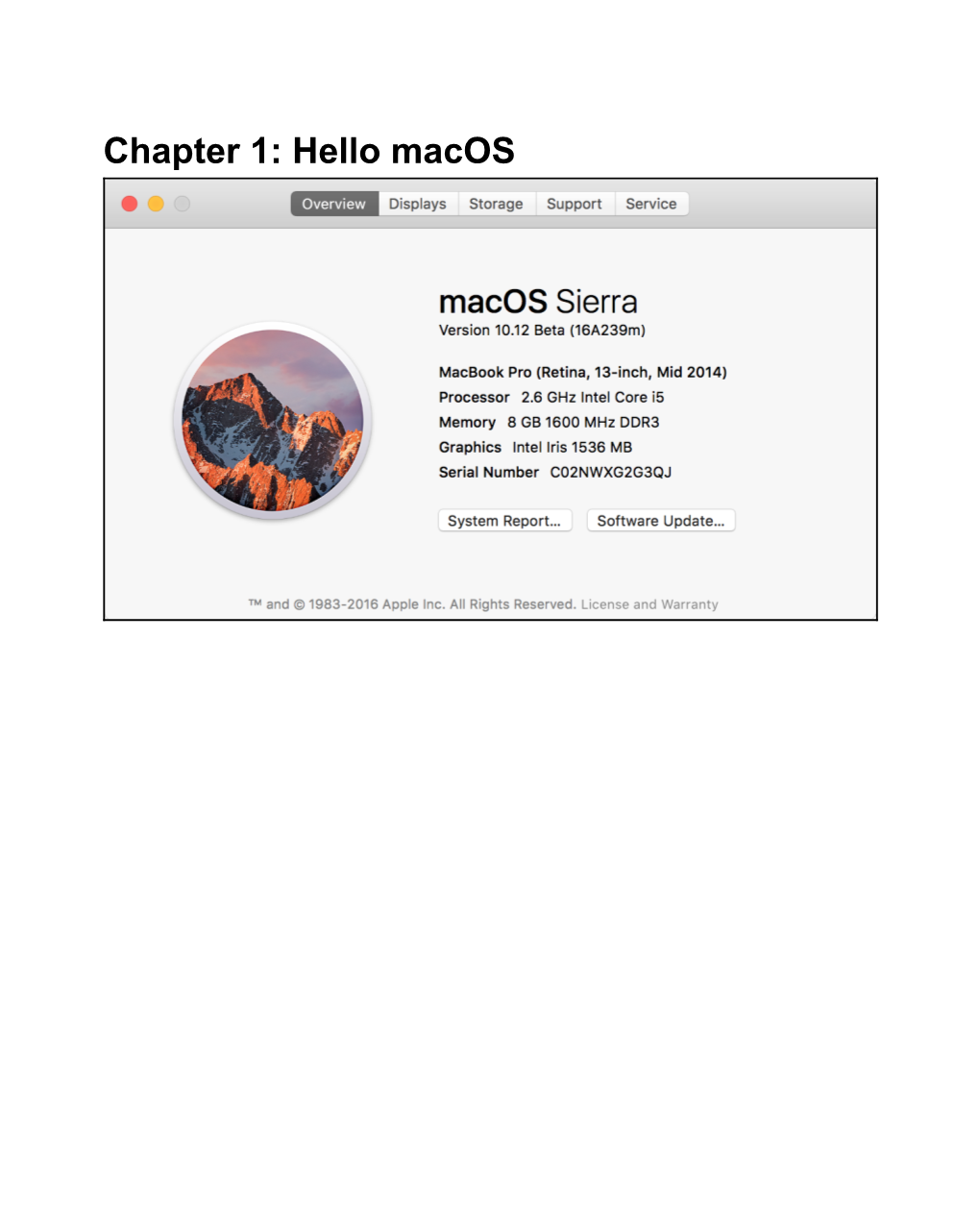 Hello Macos Graphic Bundle Chapter 2: Basic Swift