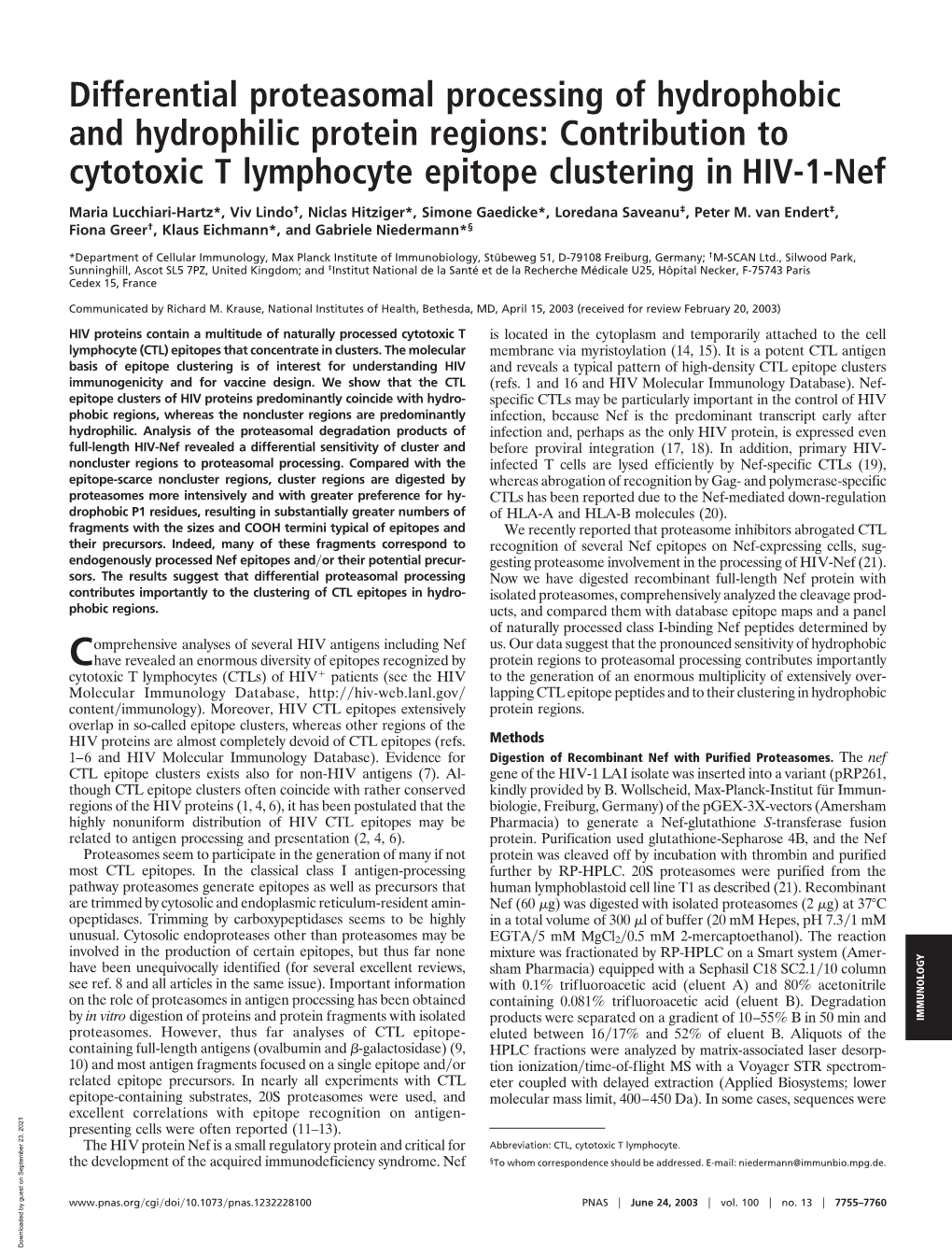 Differential Proteasomal Processing of Hydrophobic and Hydrophilic Protein Regions: Contribution to Cytotoxic T Lymphocyte Epitope Clustering in HIV-1-Nef