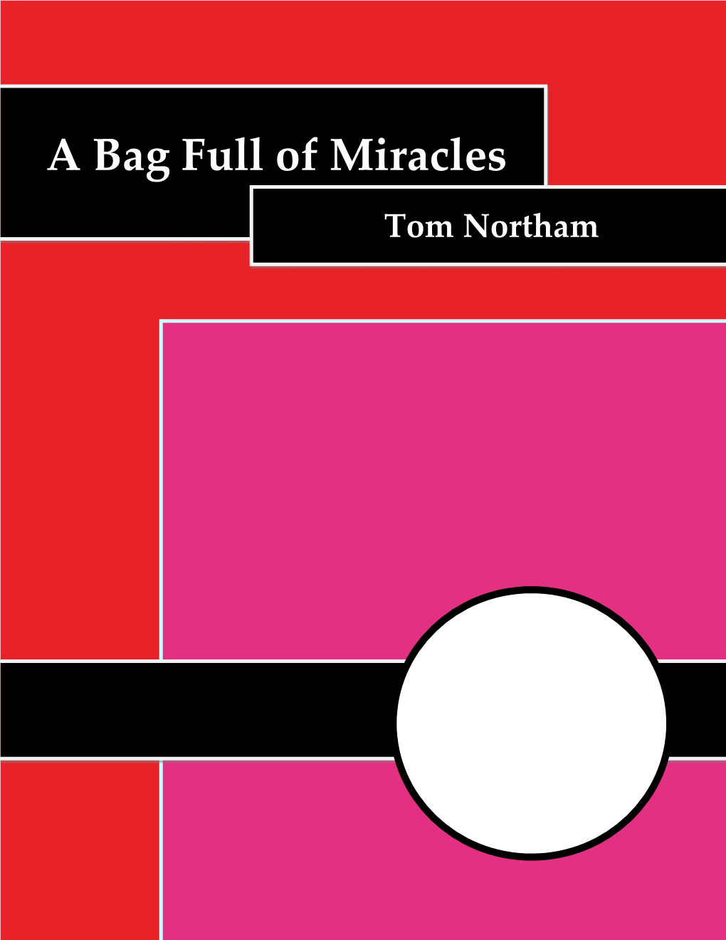 Read a Freeview of a Bag Full of Miracles