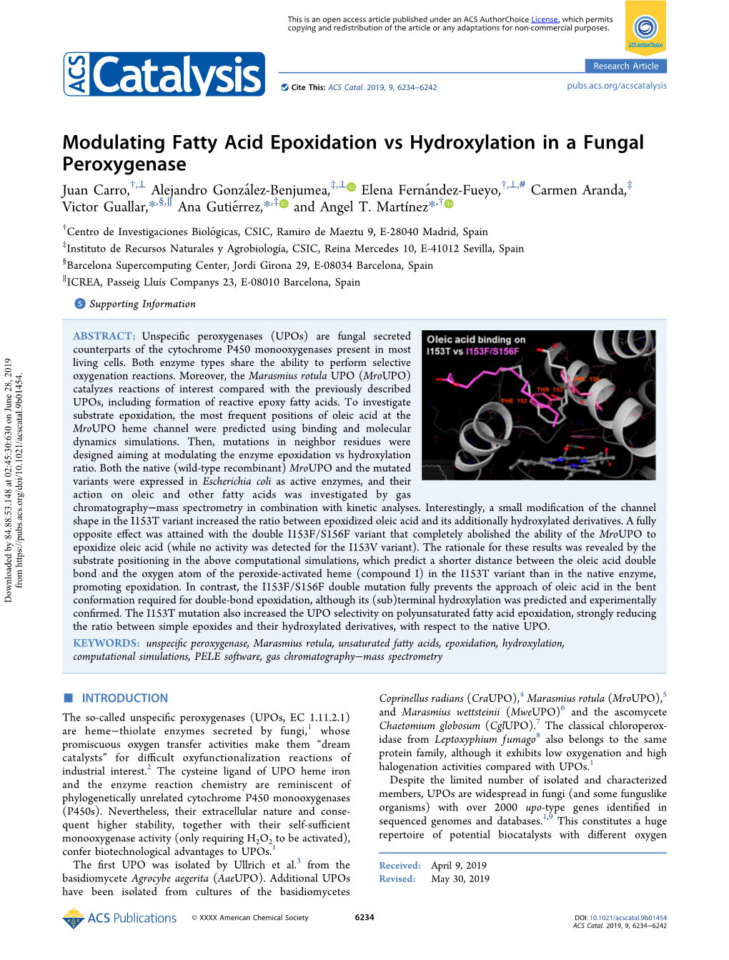 Modulating Fatty Acid Epoxidation Vs Hydroxylation in a Fungal