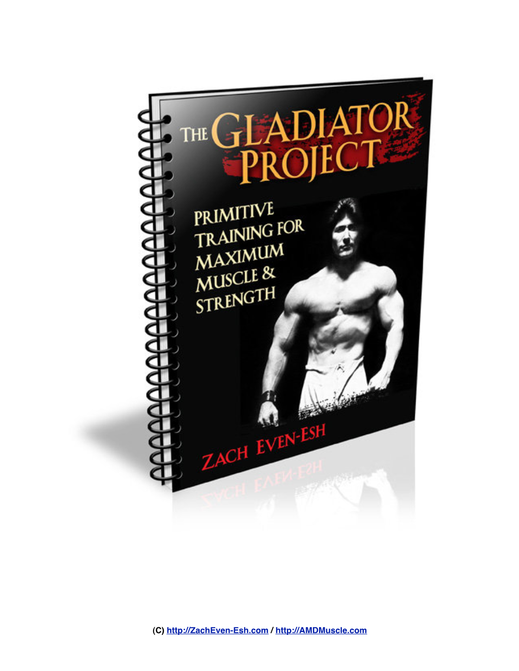 Gladiator Program