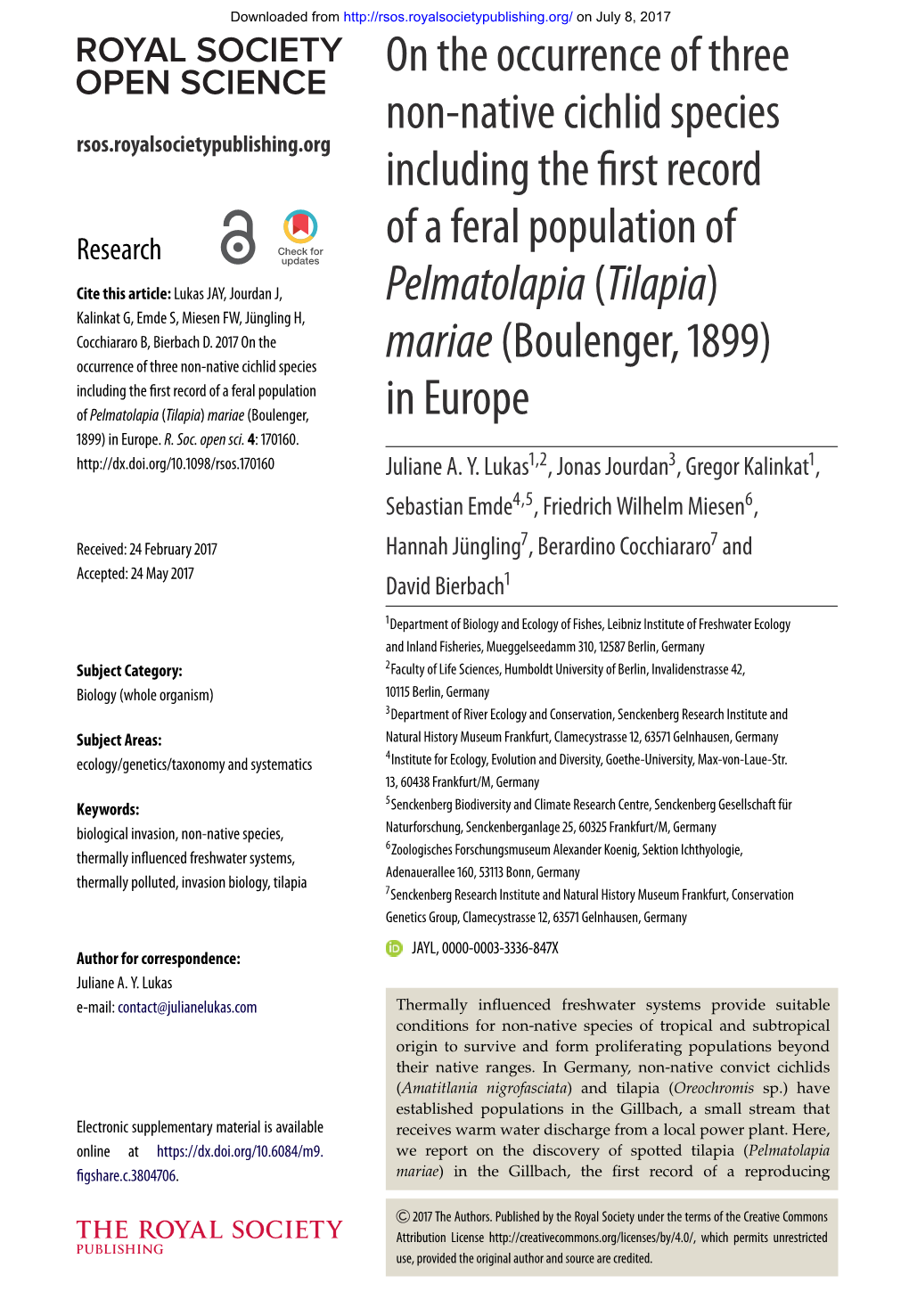 On the Occurrence of Three Non-Native Cichlid Species Including the First