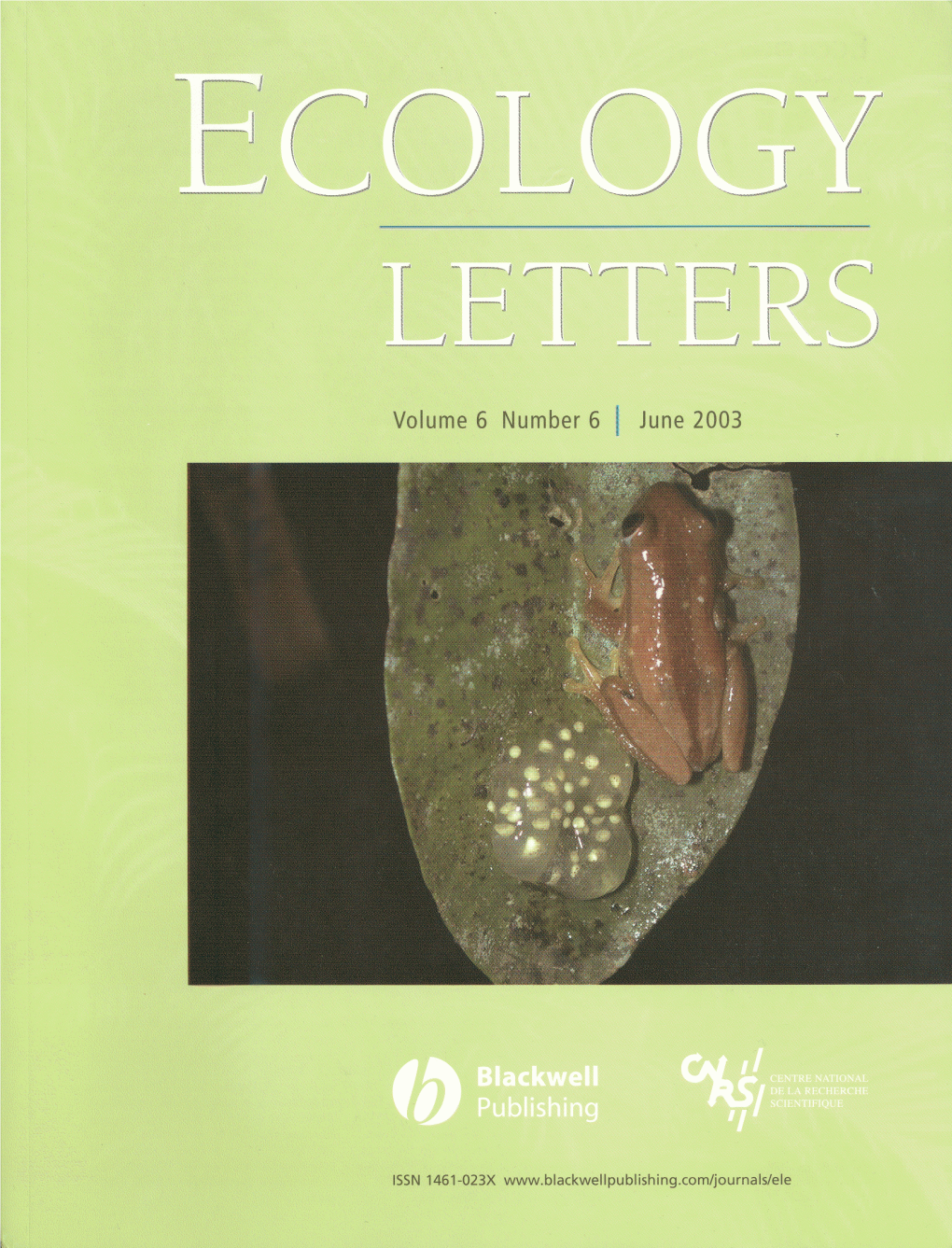 And Larval-Stage Predation in an African Treefrog