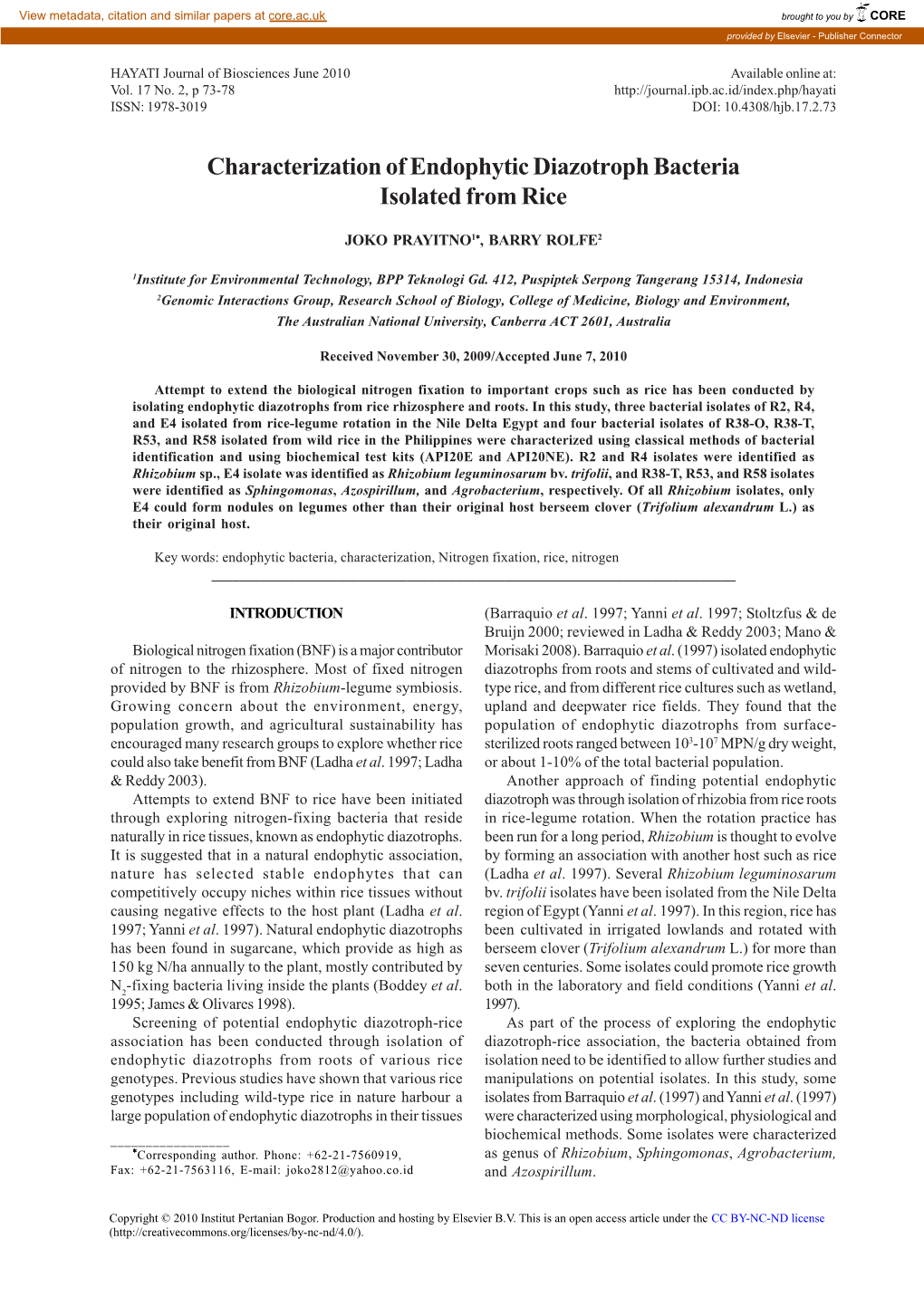 Characterization of Endophytic Diazotroph Bacteria Isolated from Rice