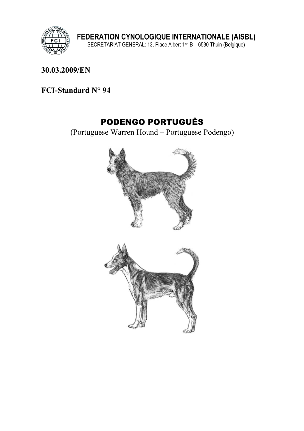 Portuguese Warren Hound / Portuguese Podengo