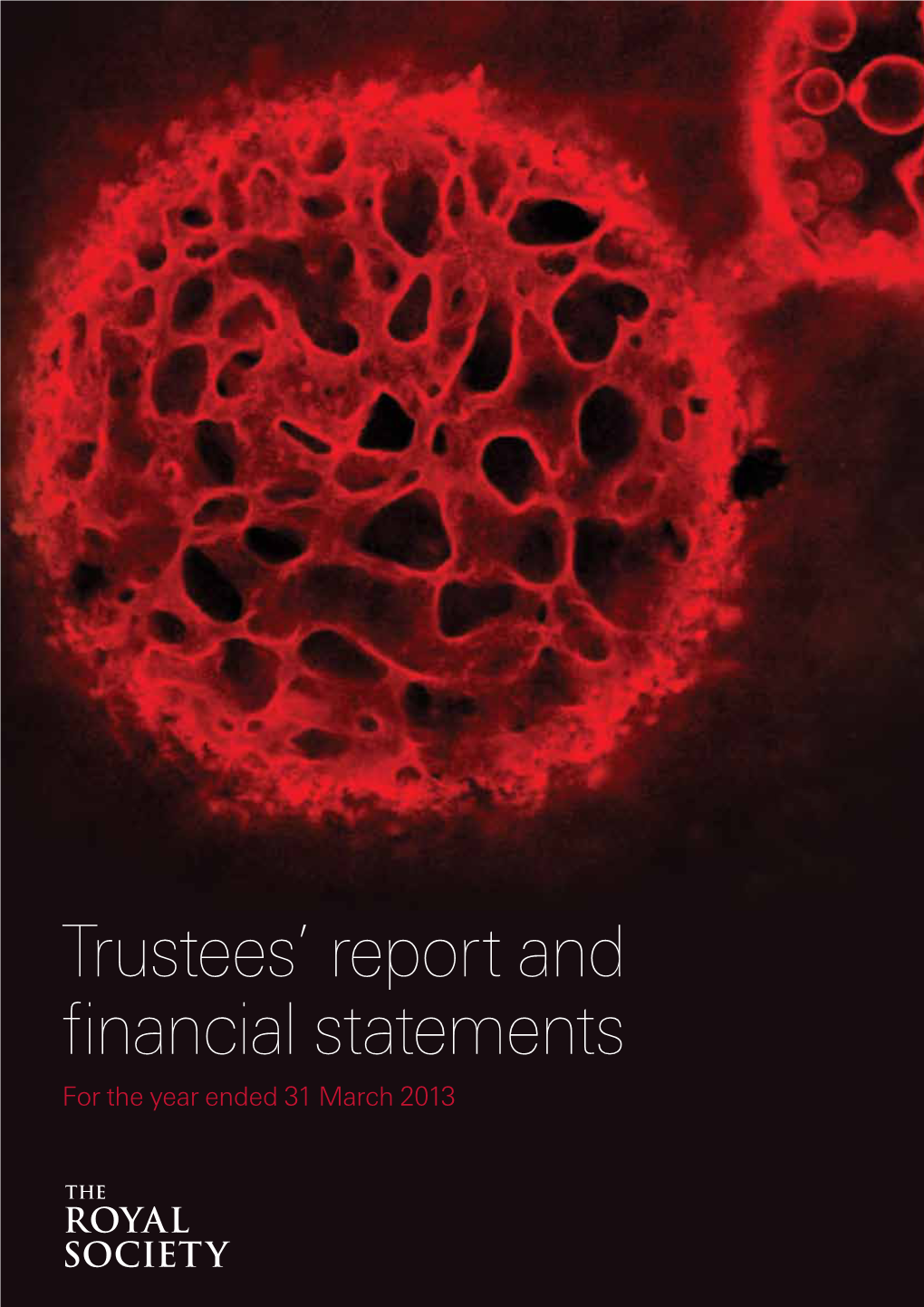 Trustees' Report and Financial Statements