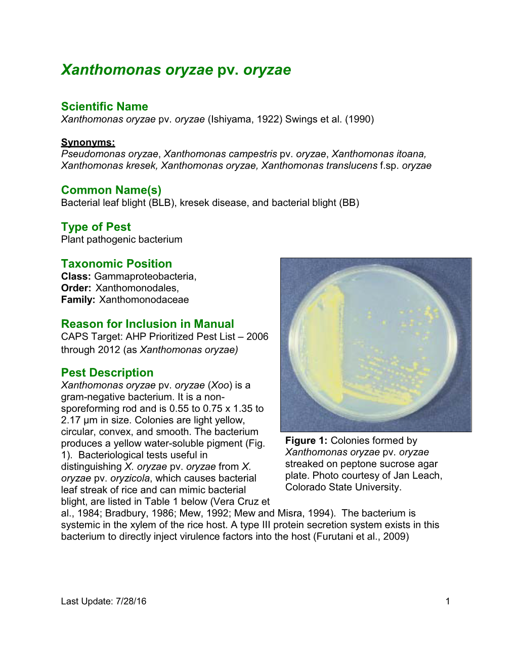 Xanthomonas Oryzae Pv. Oryzae