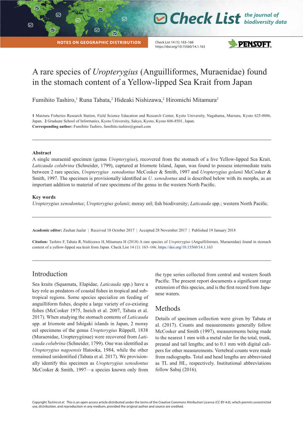 A Rare Species of Uropterygius (Anguilliformes, Muraenidae) Found in the Stomach Content of a Yellow-Lipped Sea Krait from Japan