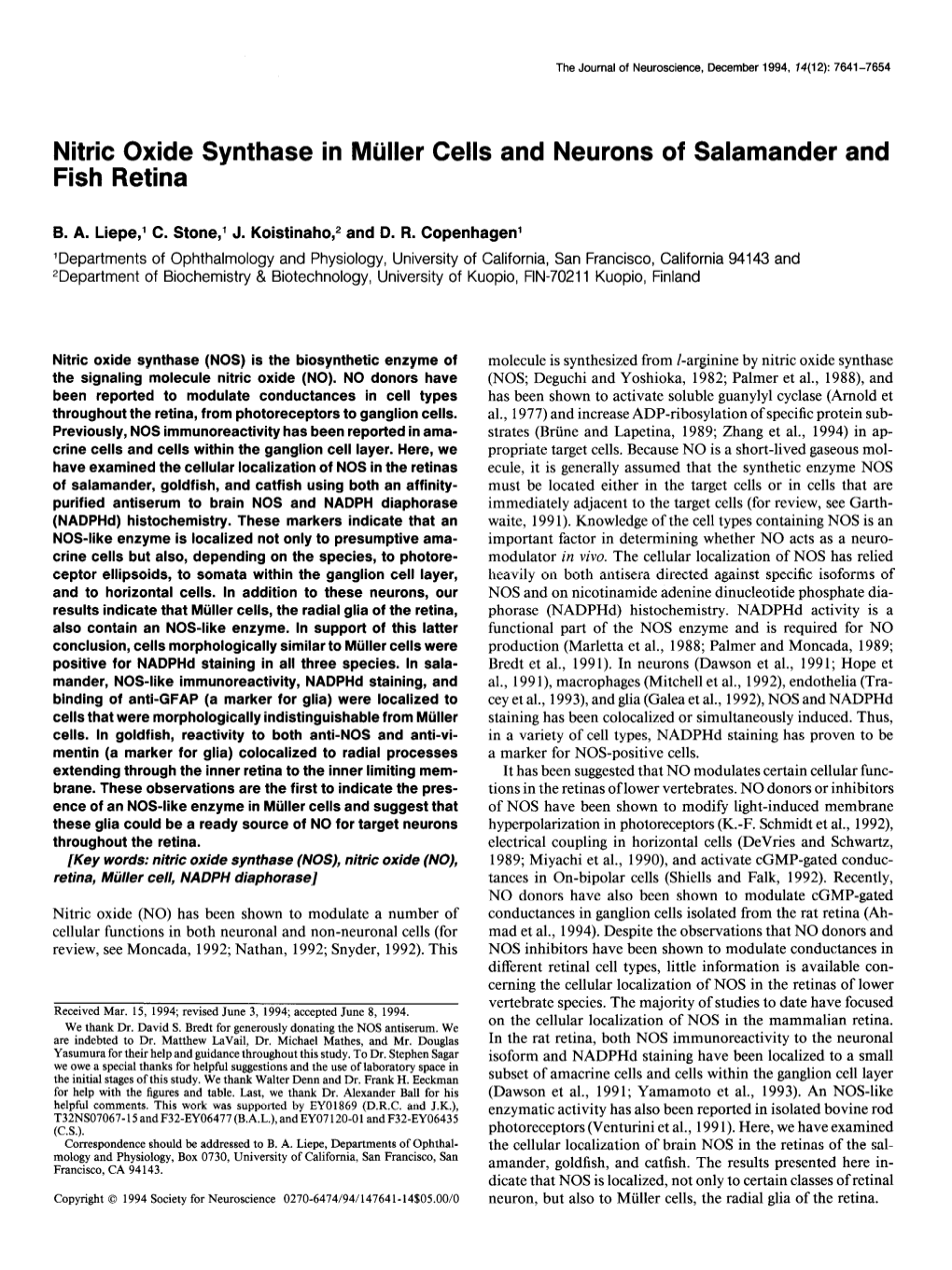 Nitric Oxide Synthase in Miiller Cells and Neurons of Salamander and Fish Retina