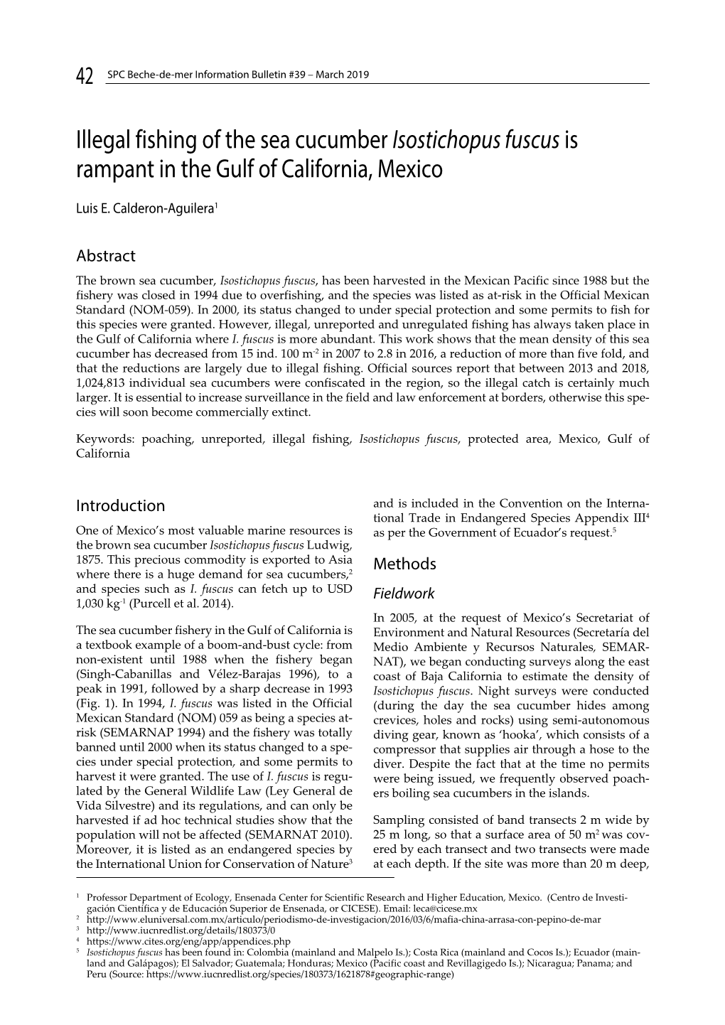 Illegal Fishing of the Sea Cucumber Isostichopus Fuscus Is Rampant in the Gulf of California, Mexico