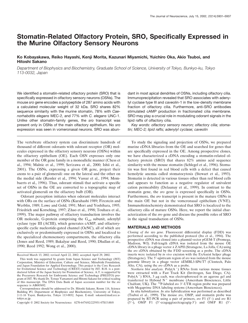 Stomatin-Related Olfactory Protein, SRO, Specifically Expressed in The