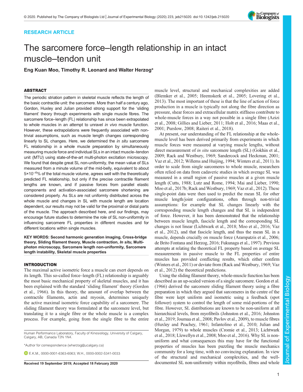 The Sarcomere Force–Length Relationship in an Intact Muscle–Tendon Unit Eng Kuan Moo, Timothy R