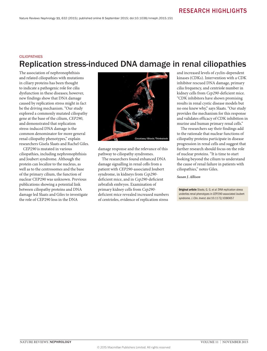 Replication Stress-Induced DNA Damage in Renal Ciliopathies